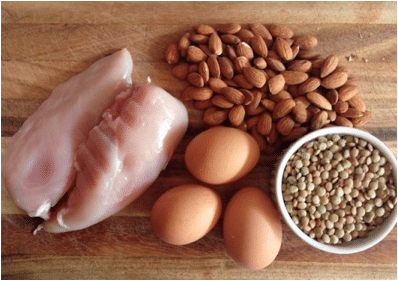 Běžné zdroje bílkovin – proteinů
